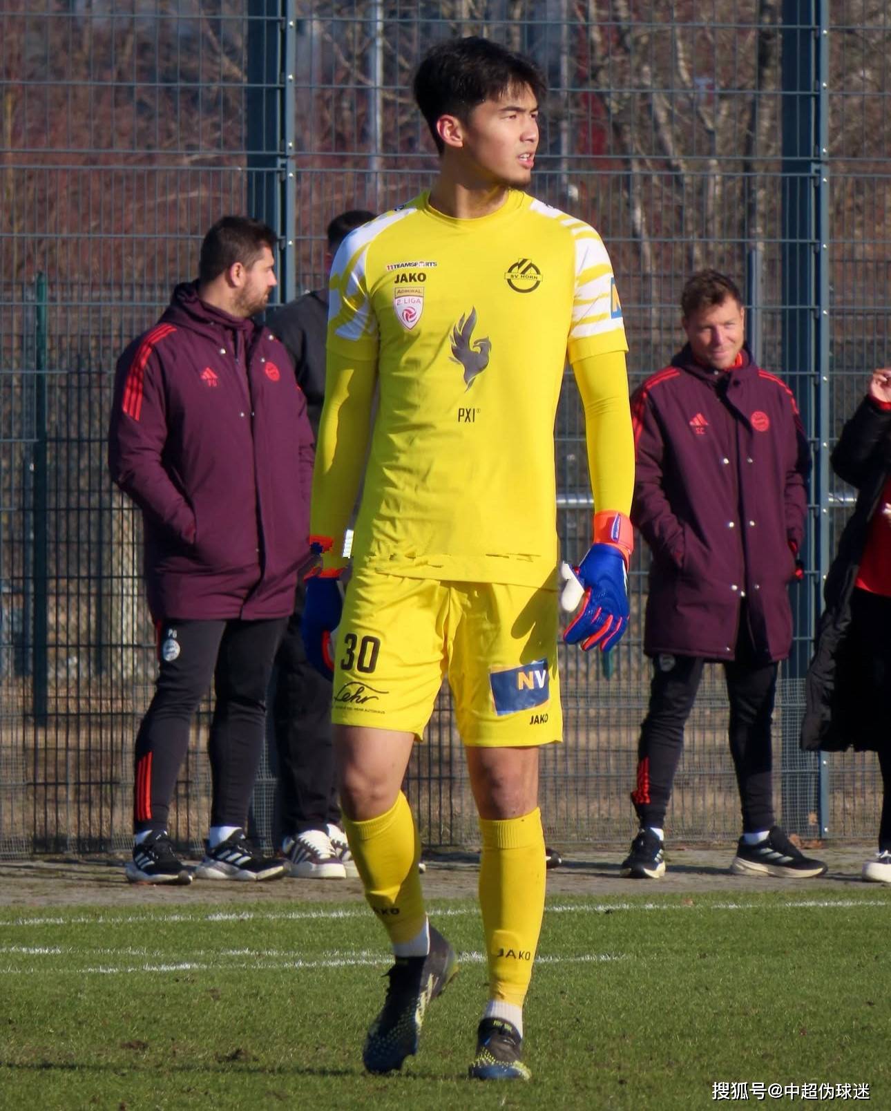 强劲势头 强劲势头