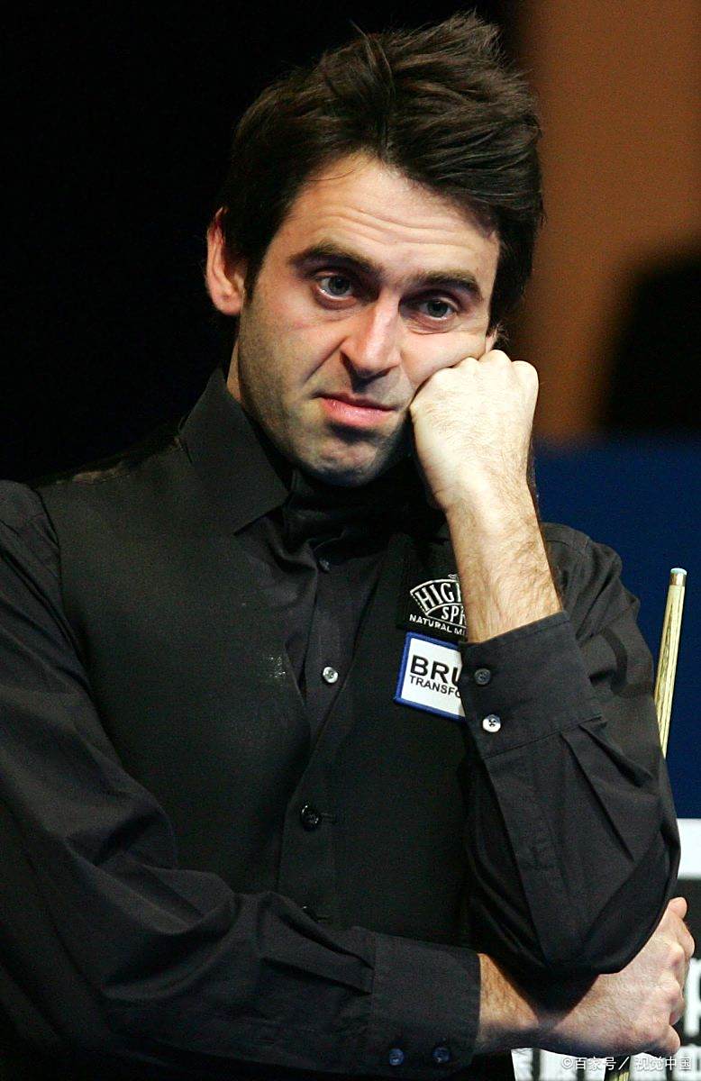 對猛龍贊譽 對猛龍贊譽